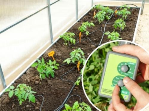 Как работает капельный полив нашего огорода 08