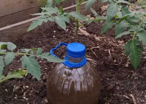 Как сделать капельный полив для огорода своими руками. Добавление статьи в новую подборку 06 Как сделать капельный полив для огорода своими руками. Добавление статьи в новую подборку 06