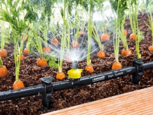 Как работает капельный полив нашего огорода 13