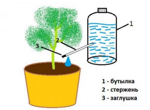 Капельный полив в домашних условиях своими руками. Как сделать капельный полив для сада и огорода из пластиковых бутылок