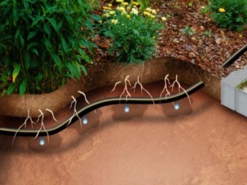 Как работает капельный полив нашего огорода 09