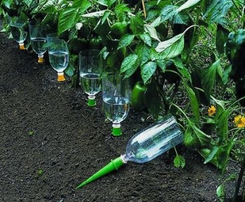 Капельный полив в домашних условиях своими руками. Как сделать капельный полив для сада и огорода из пластиковых бутылок