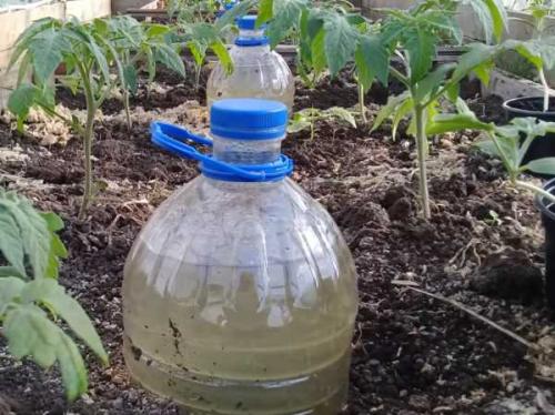 Как сделать капельный полив для огорода своими руками. Добавление статьи в новую подборку 07 Как сделать капельный полив для огорода своими руками. Добавление статьи в новую подборку 07