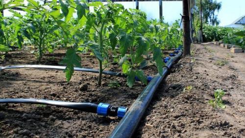 Капельный полив своими руками из пластиковых труб. Как сделать капельный полив из ПВХ труб