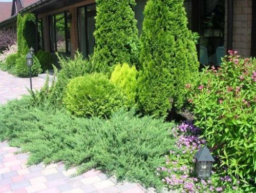 Как выбрать подходящий угловый миксбордер для своего участка. Варианты размещения