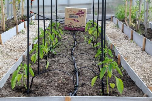 Приспособления для полива на даче. Капельный полив