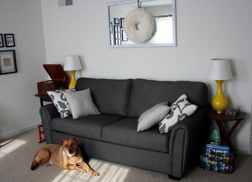 Серый диван: стильное и универсальное решение для интерьера гостиной 04 Серый диван: стильное и универсальное решение для интерьера гостиной 04