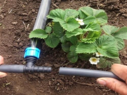 Сделай сам капельный полив своими руками для дачи без затрат. Как правильно выбрать таймеры для капельного полива 03