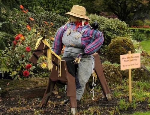 Огородное пугало своими руками. Пугало в сад — 140 фото и видео описание креативных идей и советы, как смастерить пугало своими руками