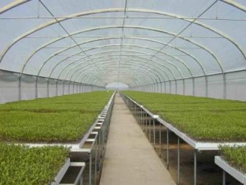 Капельный полив для теплицы. Особенности и типы автополива 01