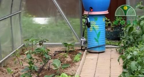 Капельный полив для теплицы. Особенности и типы автополива 03
