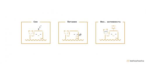 Какие лайфхаки можно использовать в рабочей жизни. Как не профукать жизнь, когда работаешь 5/2. Лайфхаки