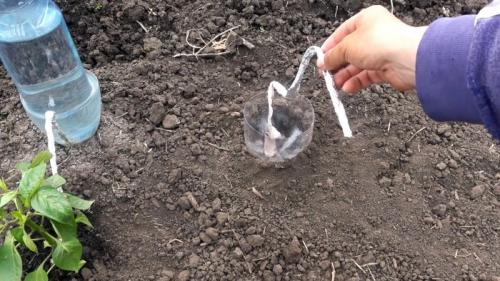 Капельный полив из бутылки - равномерный полив 30 дней. Процесс изготовления и установки капельного полива
