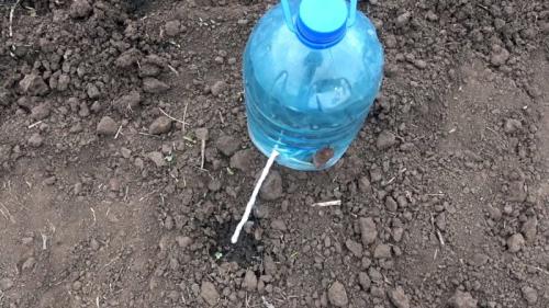 Капельный полив из бутылки - равномерный полив 30 дней. Процесс изготовления и установки капельного полива