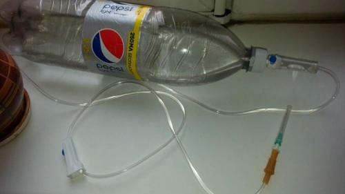 Капельный полив своими руками из бутылок для домашних цветов. Для комнатных растений