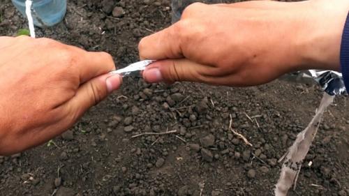 Капельный полив из бутылки - равномерный полив 30 дней. Процесс изготовления и установки капельного полива