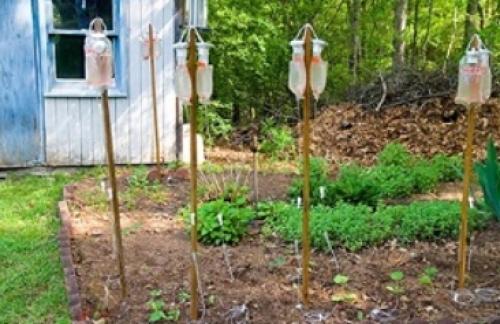 Виды капельного полива