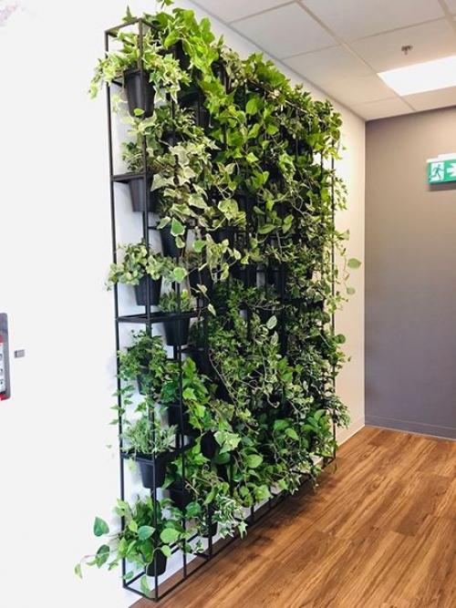 Серые гостиные с зелеными стенами: стиль и комфорт в одном 03