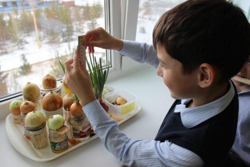 Полезные советы для дома. Хитрости для экономии