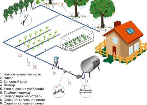 Капельный полив от водопровода своими руками. Схема капельного полива