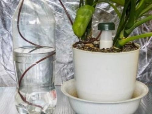 Монтаж системы автополива на загородном.. Как сделать полив на даче своими руками: главные моменты 06 Монтаж системы автополива на загородном.. Как сделать полив на даче своими руками: главные моменты 06