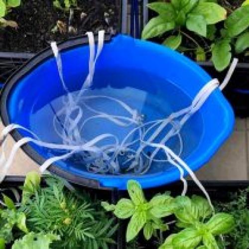 Как регулировать количество воды, которое поступает на растения. Способы дозированного полива