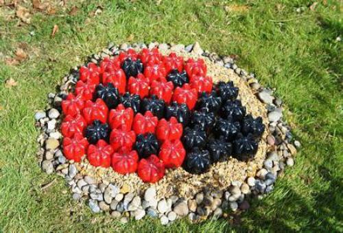 Узнайте, как сделать красивую Божью коровку из пластиковых бутылок своими руками 03 Узнайте, как сделать красивую Божью коровку из пластиковых бутылок своими руками 03