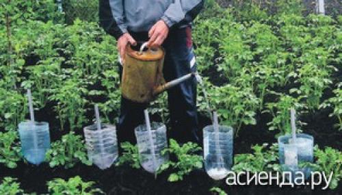 Как установить систему капельного полива из пластиковой бутылки