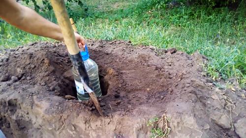 Как установить систему капельного полива из пластиковой бутылки
