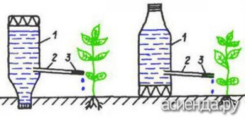 Как часто нужно менять воду в системе капельного полива из пластиковой бутылки. Как устроить капельный полив из пластиковых бутылок Существует множество конструкций для автоорошения, подразумевающих покупку шлангов и других приспособлений. Рассмотрим экономичный вариант, доступный каждому. Используя пластиковые бутылки можно обеспечить направленное поступление влаги на несколько дней. Аналогично можно использовать стеклянную тару, полиэтиленовые мешочки. Рассмотрим несколько видов бесперебойного орошения.