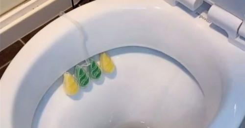 Как правильно вешать туалетный блок. Как закрепить блок для унитаза