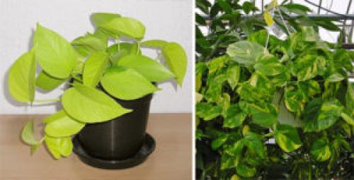 Как использовать текстиль для создания уютной обстановки