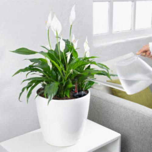 Как использовать текстиль для создания уютной обстановки