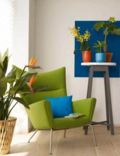 Какие растения наиболее уютно выглядят в квартире. 6 неприхотливых, но эффектных растений для домашнего уюта