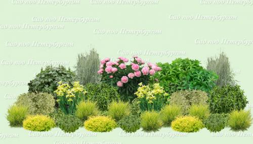 Какие материалы можно использовать для строительства миксбордера. Ландшафтный практикум: делаю солнечный миксбордер из устойчивых многолетников