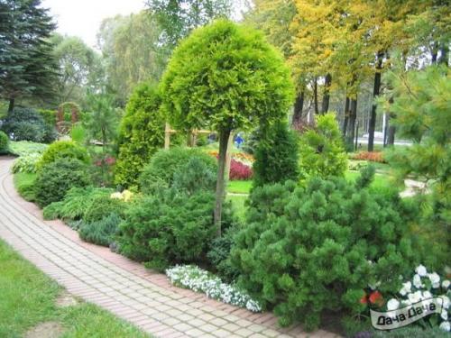 Строительство миксбордера вдоль забора: подходы и рекомендации 10