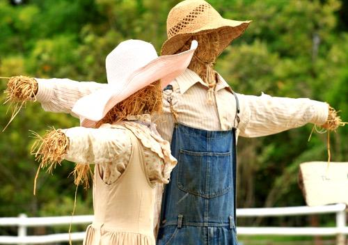 Пугало от птиц своими руками. Как сделать чучело для огорода для отпугивания птиц своими руками