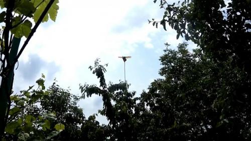 Как сделать летающее пугало. Процесс изготовления чучела птицы