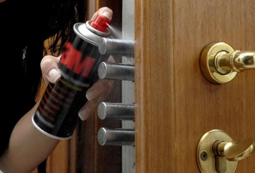 Входные двери в Дом Современные: Выбор, установка и уход 14