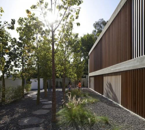 Озеленение двора в частном доме. Основные моменты работы