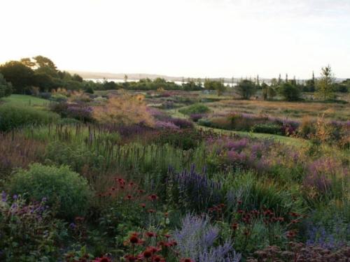 Маленький сад ландшафтный дизайн сада. Ловим «новую волну»