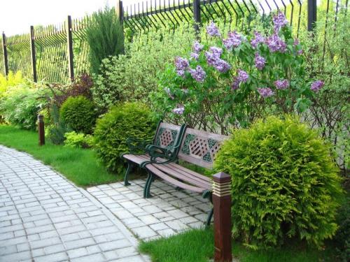 Озеленение участка своими руками. Озеленение участка – идеи по обустройству территории и варианты современного ландшафтного дизайна