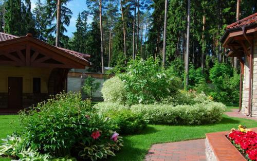 Озеленение двора в частном доме. Основные моменты работы 28 Озеленение двора в частном доме. Основные моменты работы 28