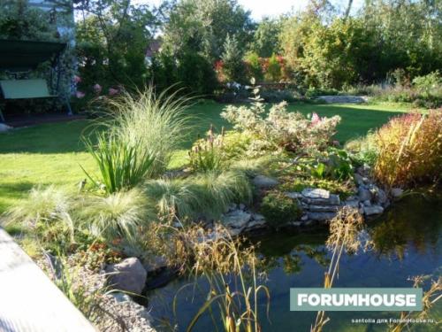 Маленький сад ландшафтный дизайн сада. Ловим «новую волну»