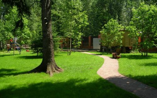 Озеленение двора в частном доме. Основные моменты работы 32 Озеленение двора в частном доме. Основные моменты работы 32