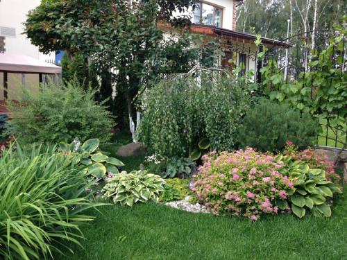 Озеленение участка своими руками. Озеленение участка – идеи по обустройству территории и варианты современного ландшафтного дизайна