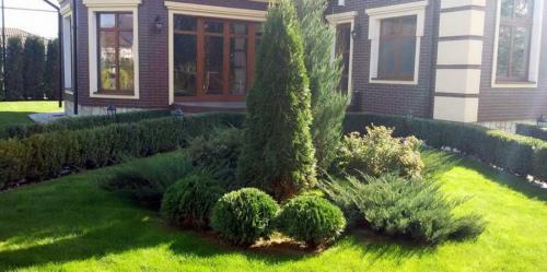 Озеленение участка своими руками. Озеленение участка – идеи по обустройству территории и варианты современного ландшафтного дизайна