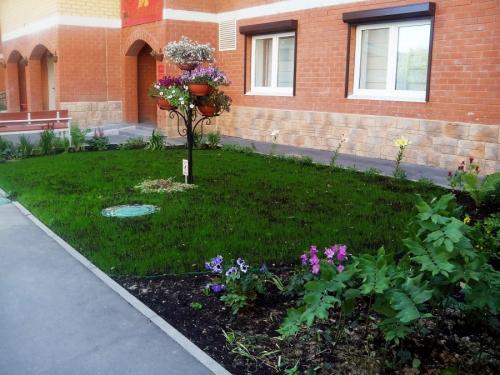 Озеленение двора в частном доме. Основные моменты работы