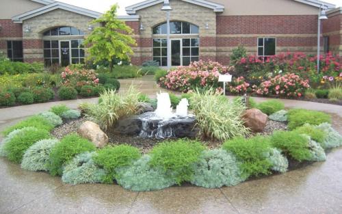 Озеленение двора в частном доме. Основные моменты работы