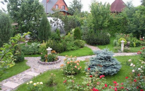 Озеленение двора в частном доме. Основные моменты работы 34 Озеленение двора в частном доме. Основные моменты работы 34